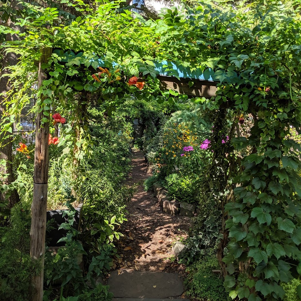 Short Films In The Garden 1
