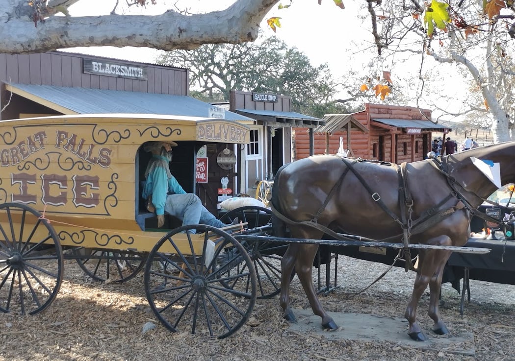 Joan's Farm & Pumpkin Patch 3