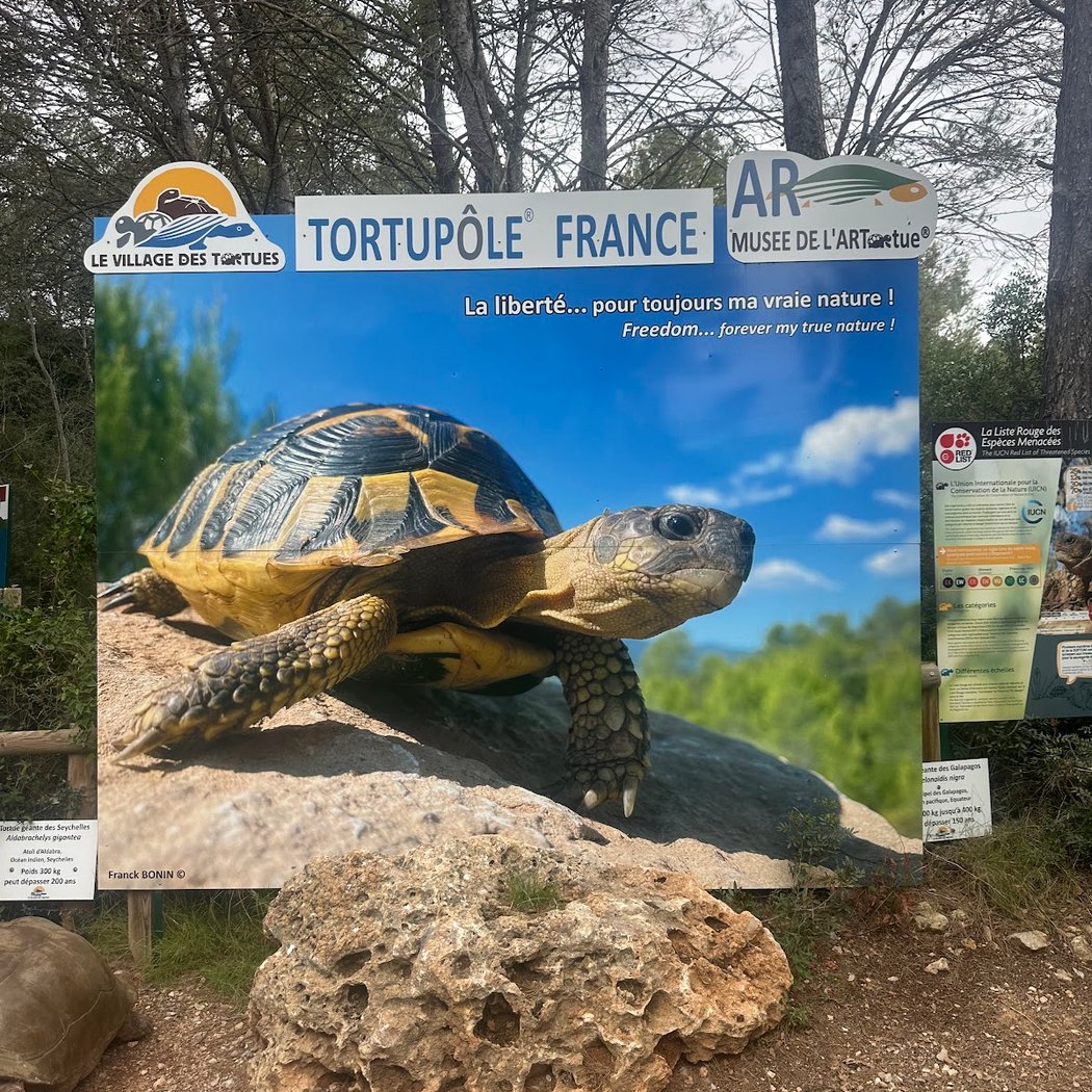The Turtles Village of Carnoules 3