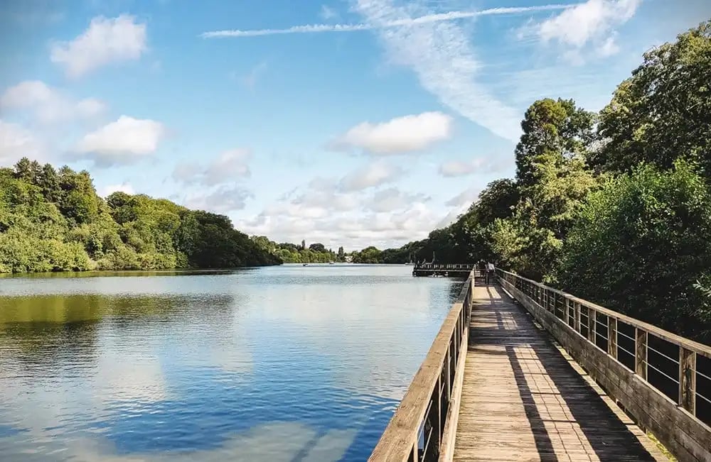 Promenade de l'Erdre 1