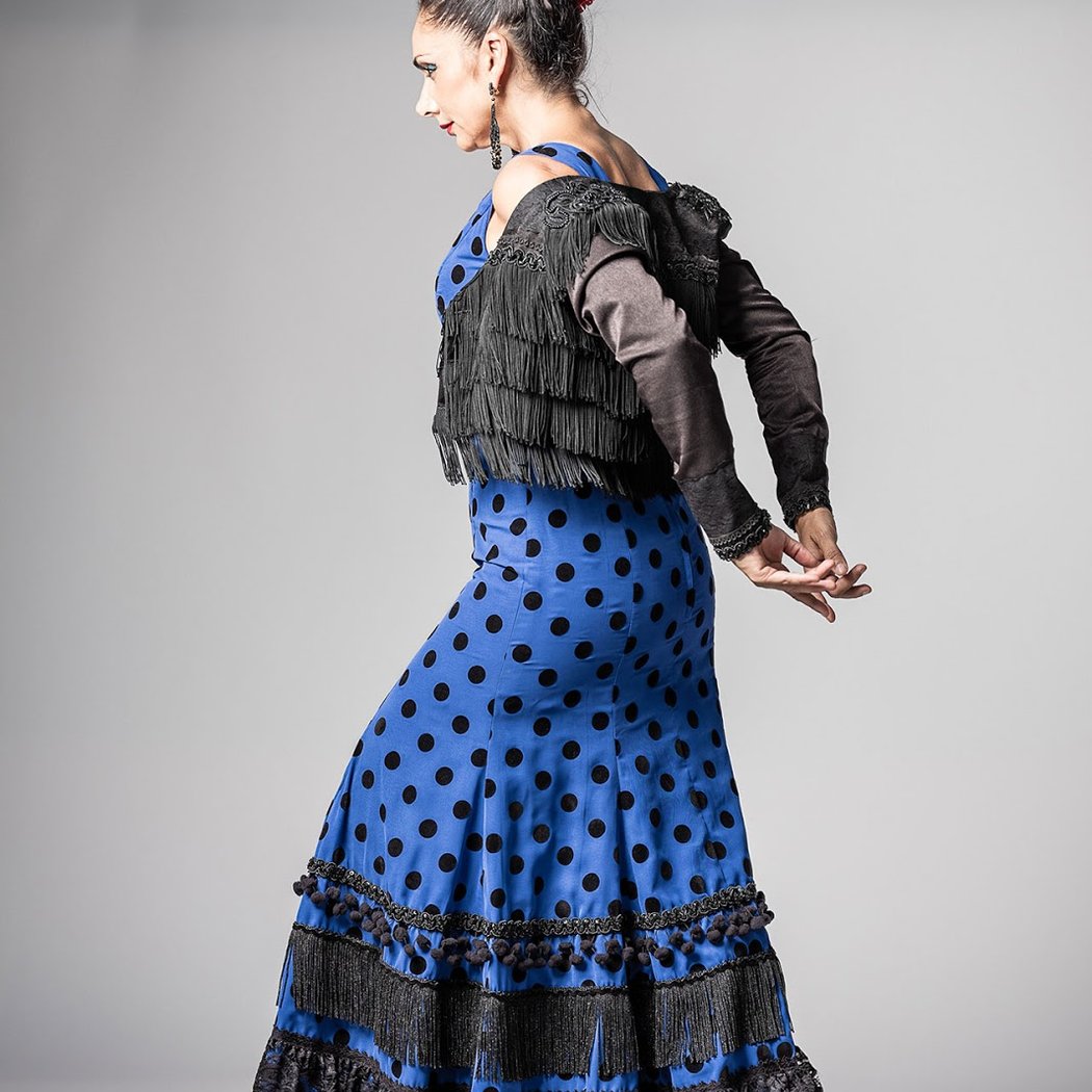 Vicente Gelo (Flamenco recital) 3