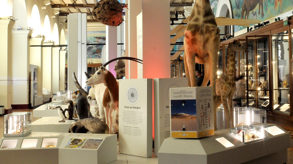 Natural History Museum of Marseille 2