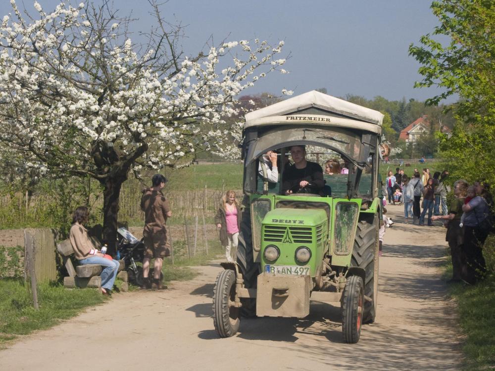 Grünes Lernen am Hofsonntag