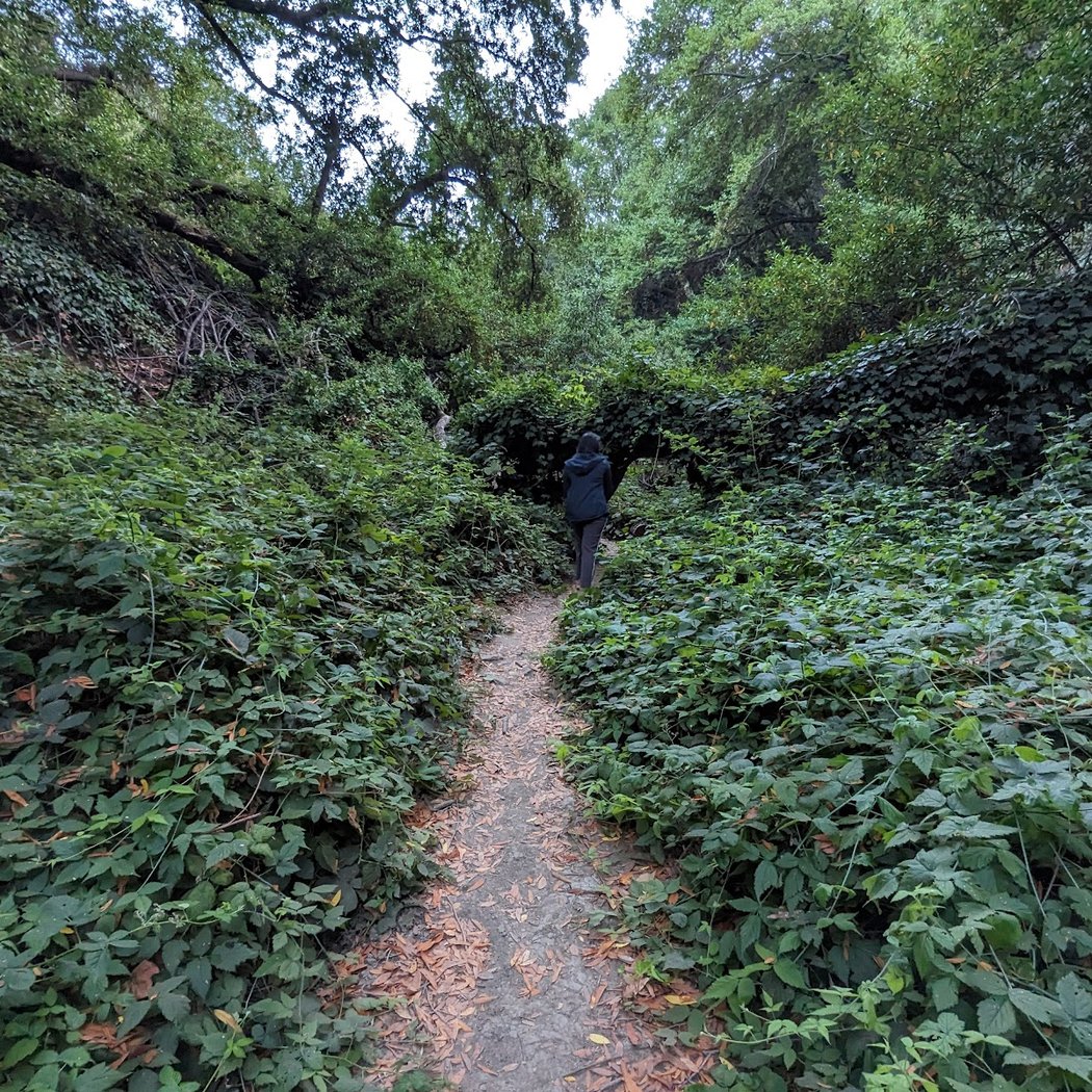 Benevides Trailhead 2