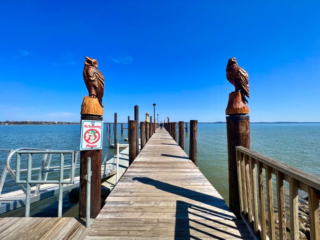 Millard Tydings Memorial Park 3
