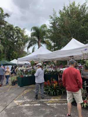 Farmers Market 1