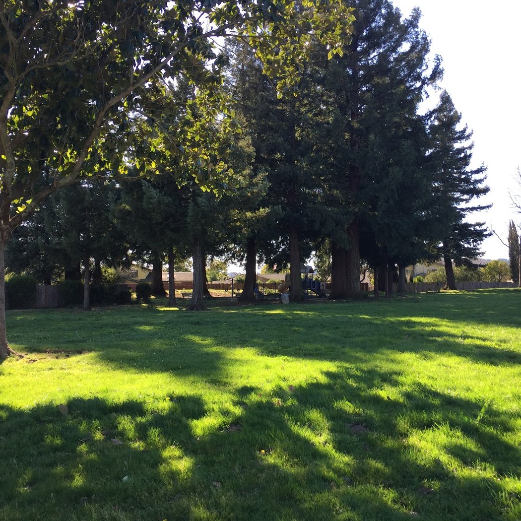 Solomon Park 1
