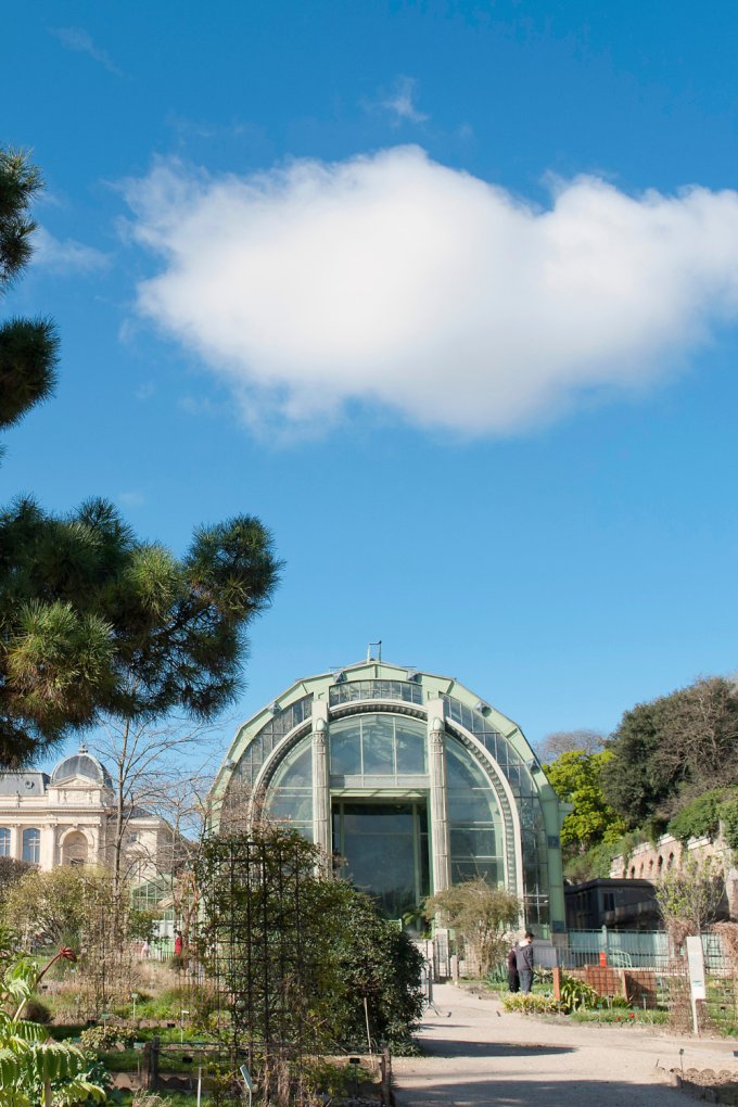 Grandes Serres du Jardin des Plantes 3