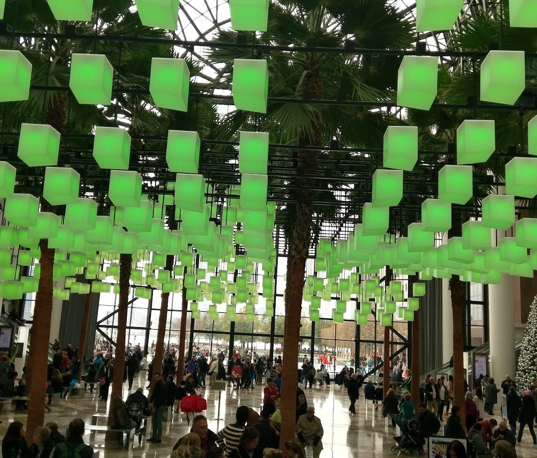 Winter Garden 2