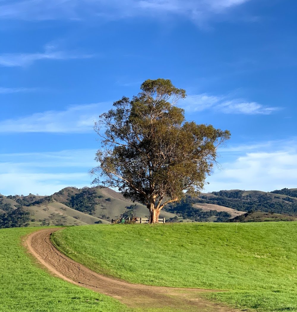 Montgomery Hill Park 1