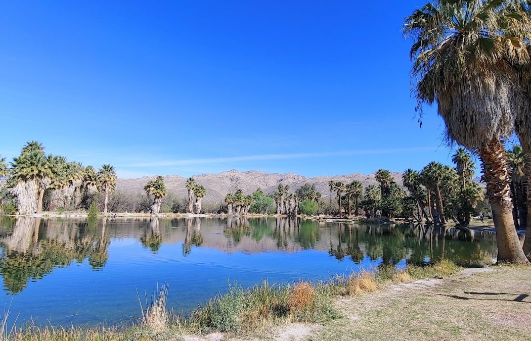 Agua Caliente Park 2