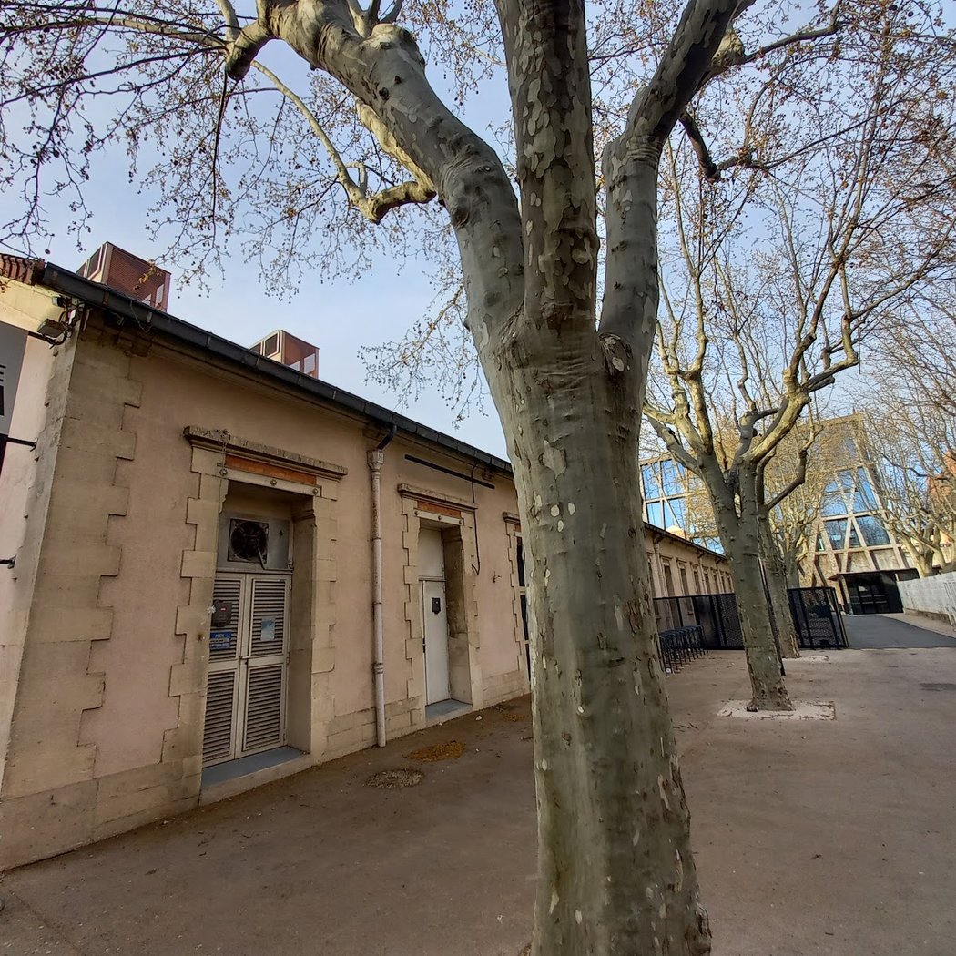 Atelier : La chasse de l’île au trésor 3
