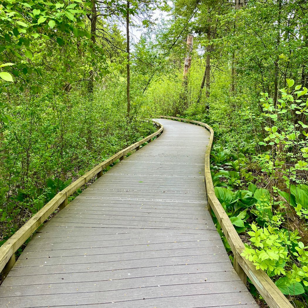Retzer Nature Center 2