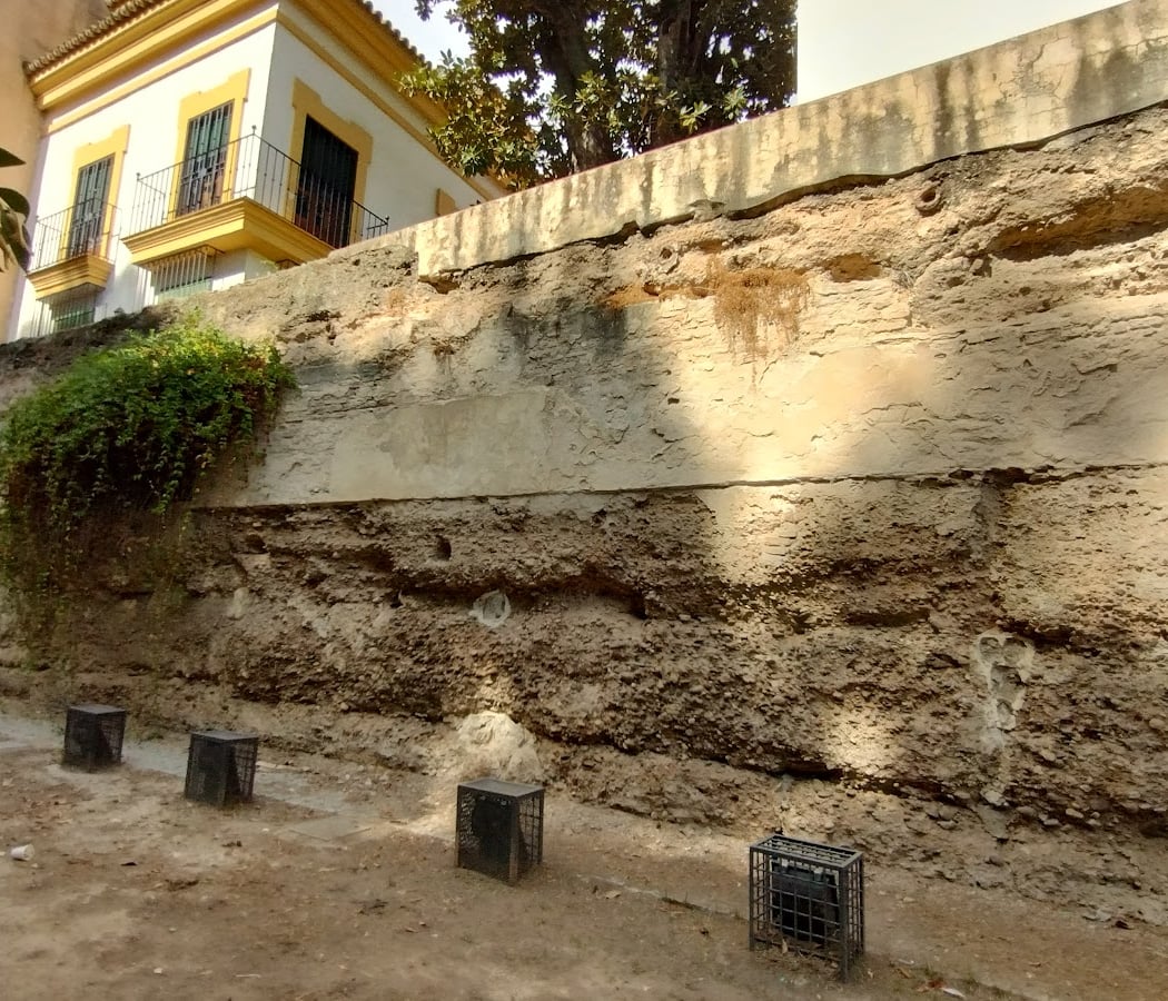 Muralla Almohade 3