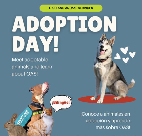 Adoption Event 1