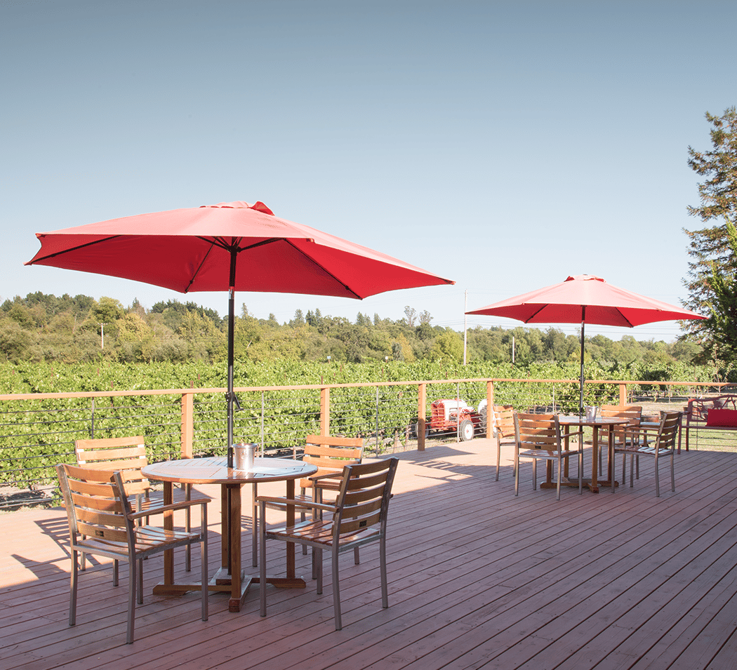 Tasting Experiences, Live Music, and Something Different! 3