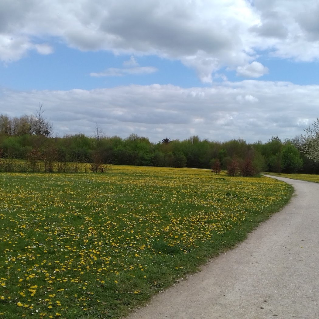 Park Cousinerie 2