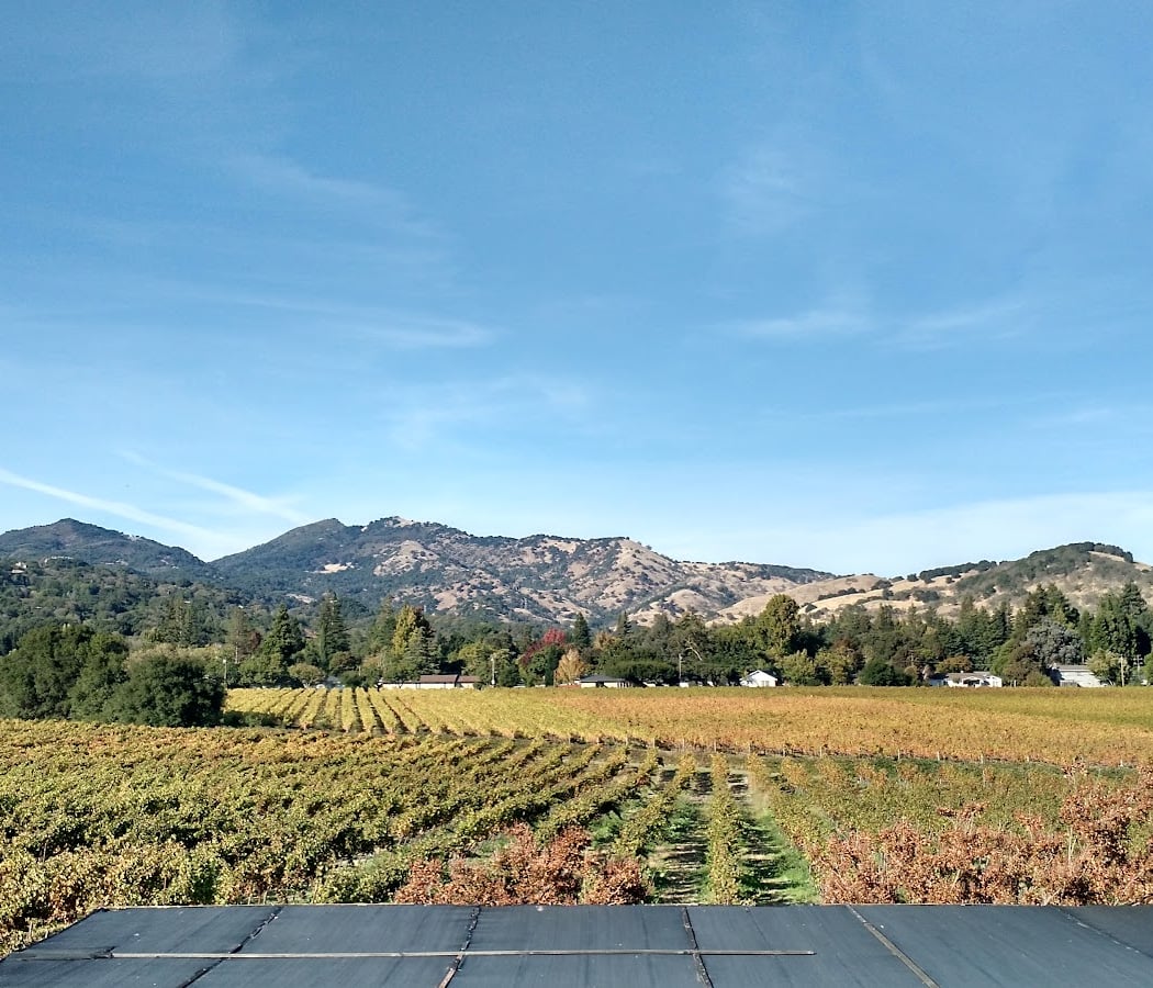 G V Cellars 2