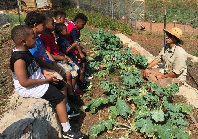 Friday Garden Workday at Annie's House 4