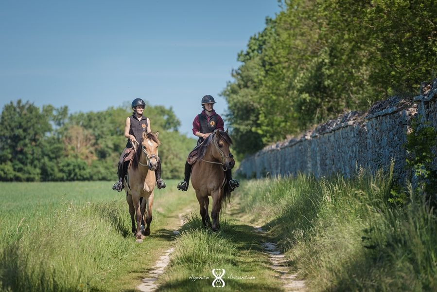 Henson Pays de Fontainebleau - Balades à cheval 1