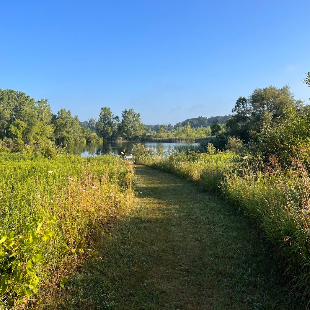 Liberty Pond Nature Area 1