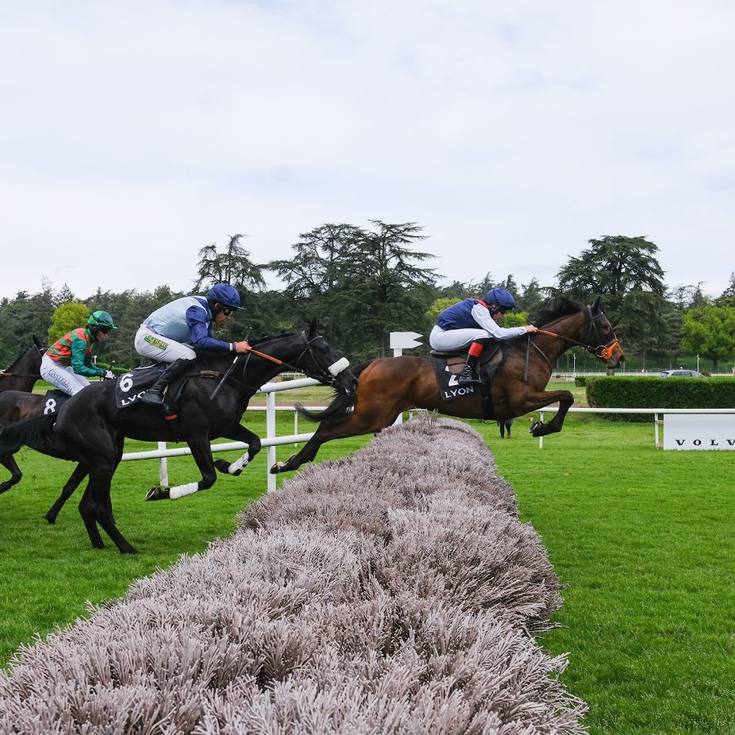 Hippodrome de Parilly 1
