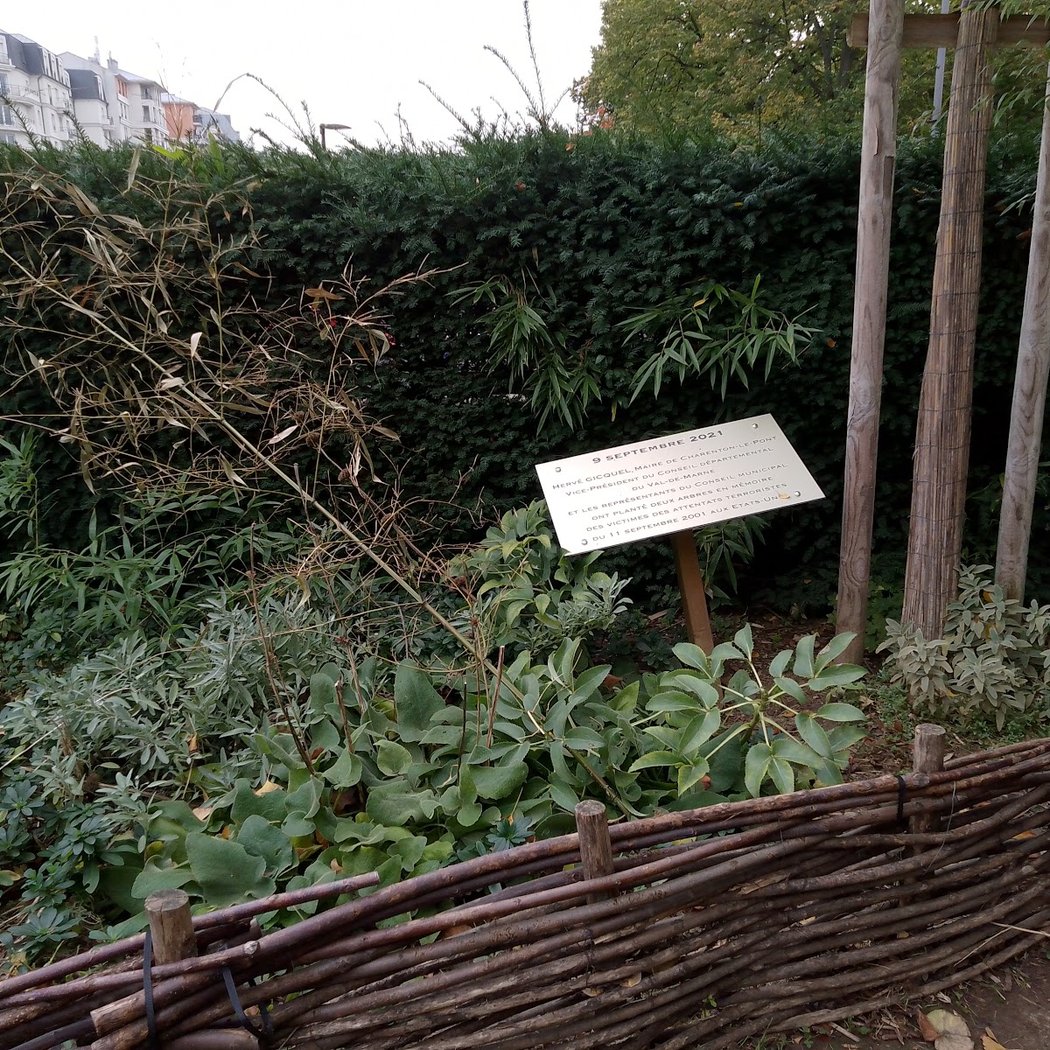 Square de Conflans 2