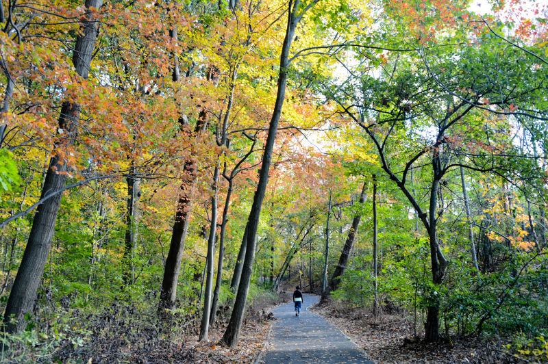 Extended Hikes with Urban Park Rangers 1