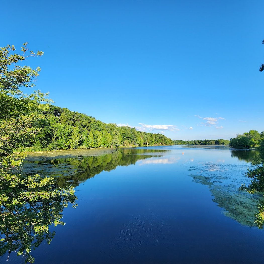 Meet Your Parks with Natural Area Preservation: Waterfowl Walk 5