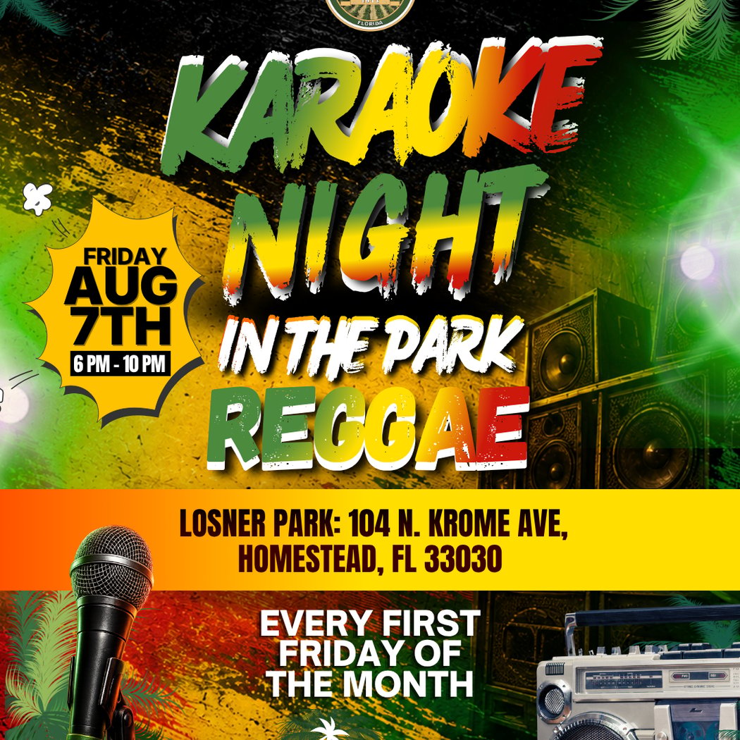 Karaoke Night in the Park 1