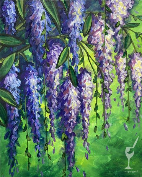 Wisteria Wonder 1