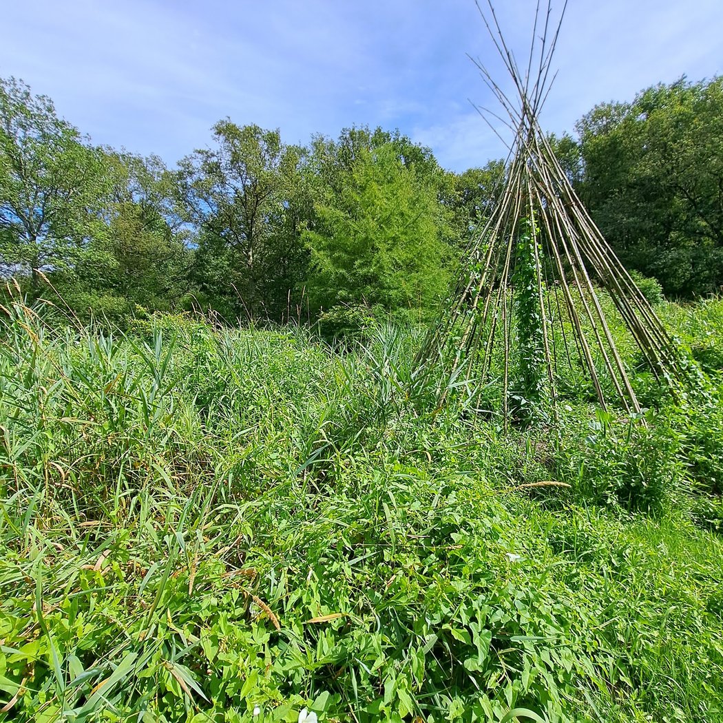 les jardins du marais 2