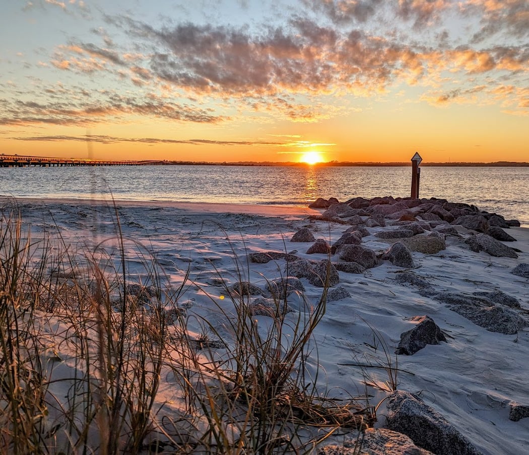 Shorebird Stroll 1