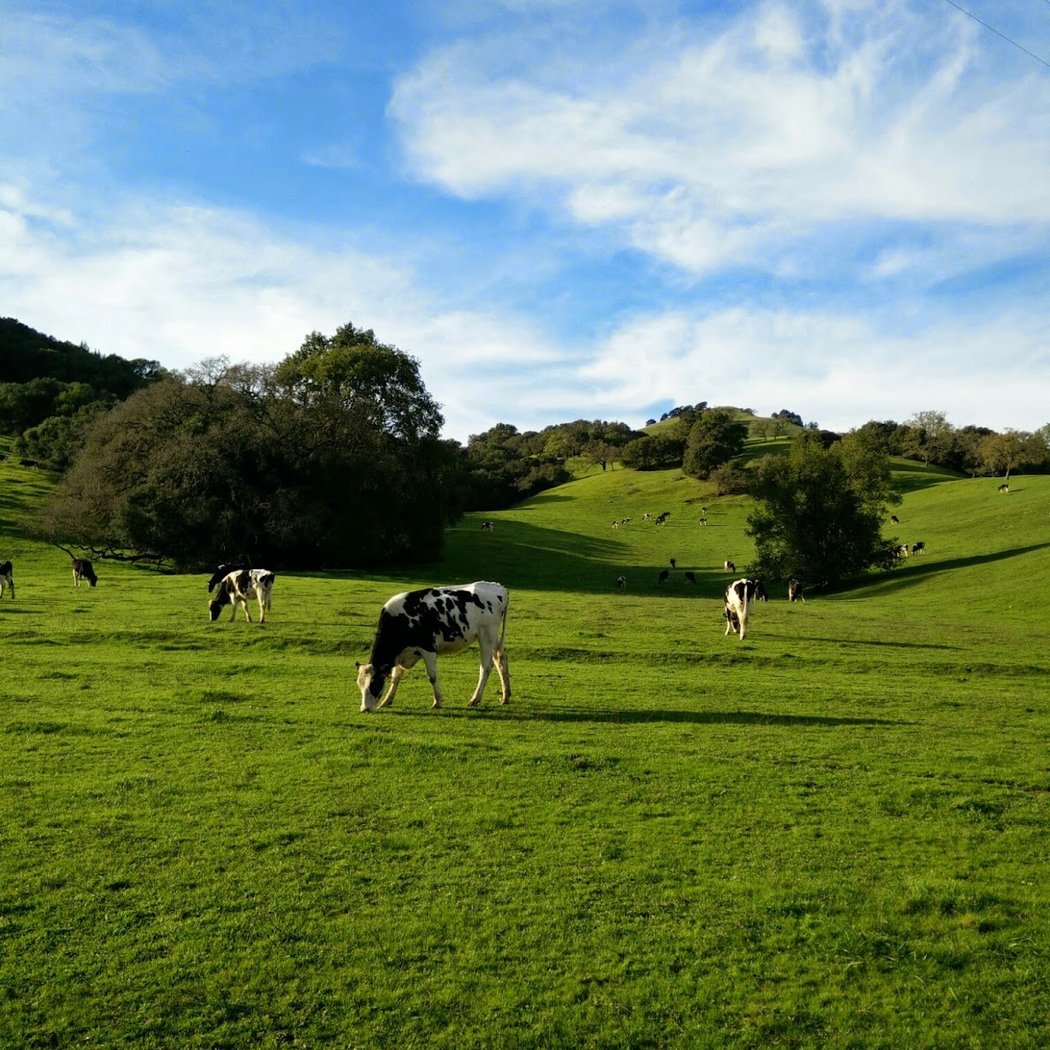 Ohair Park 1