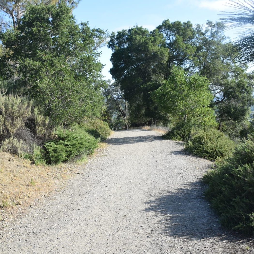 Heintz Open Space 2