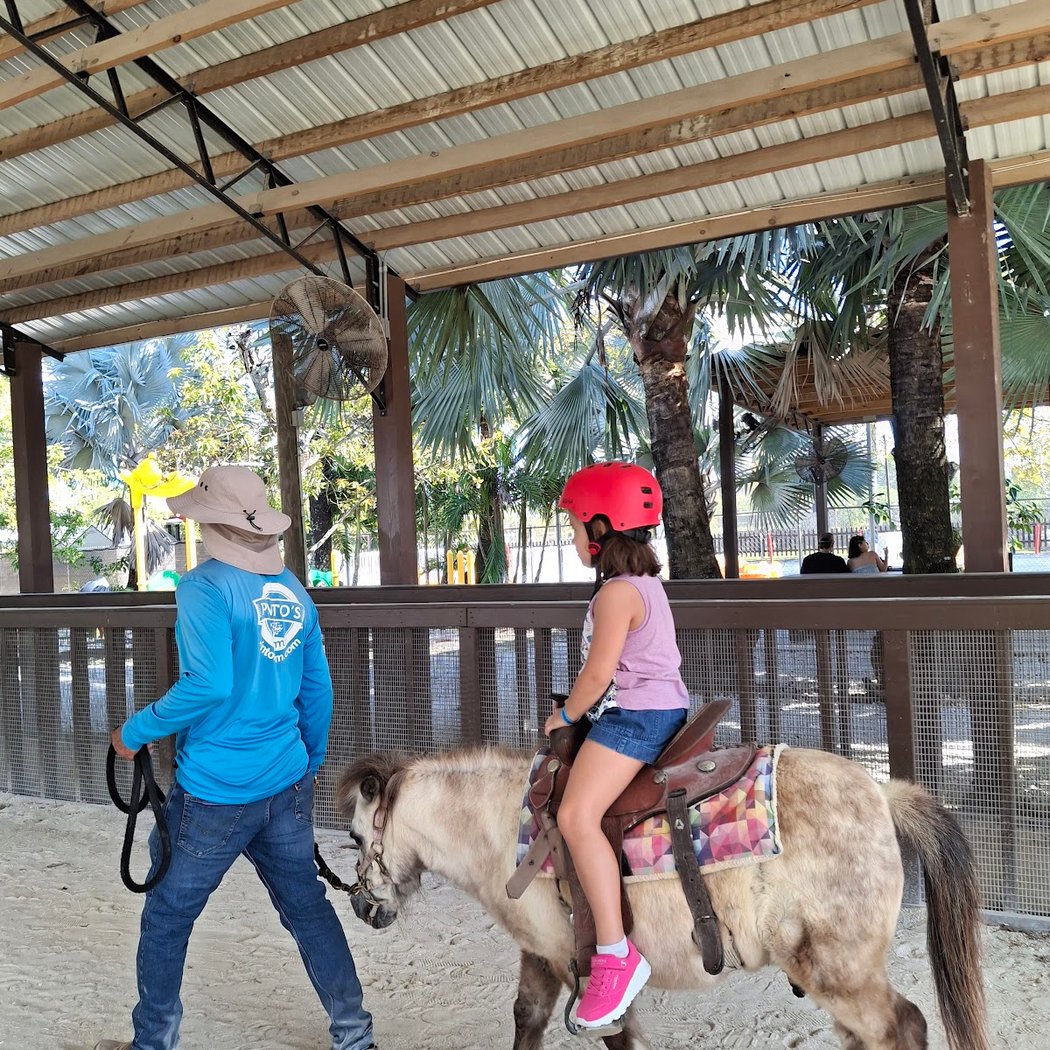 Pinto's Farm 4