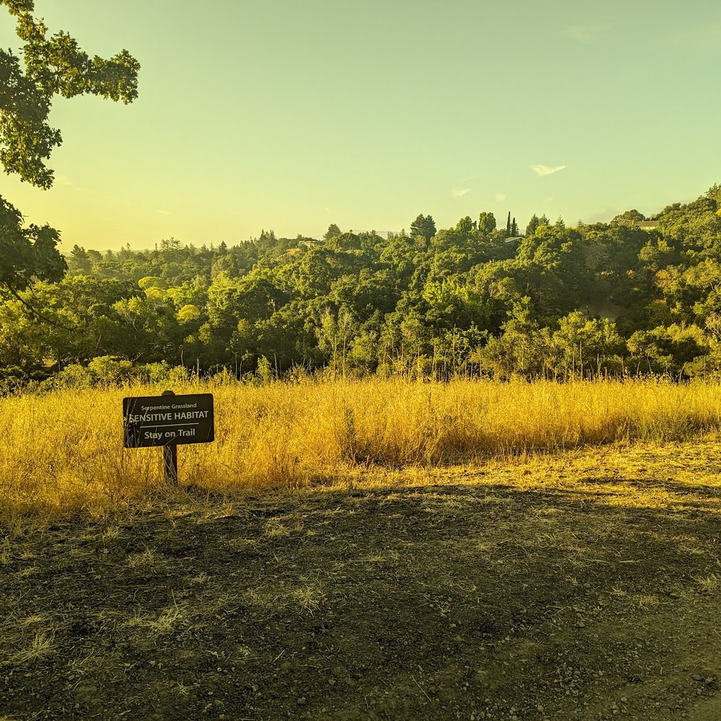 Tu B’Shvat Habitat Restoration 3