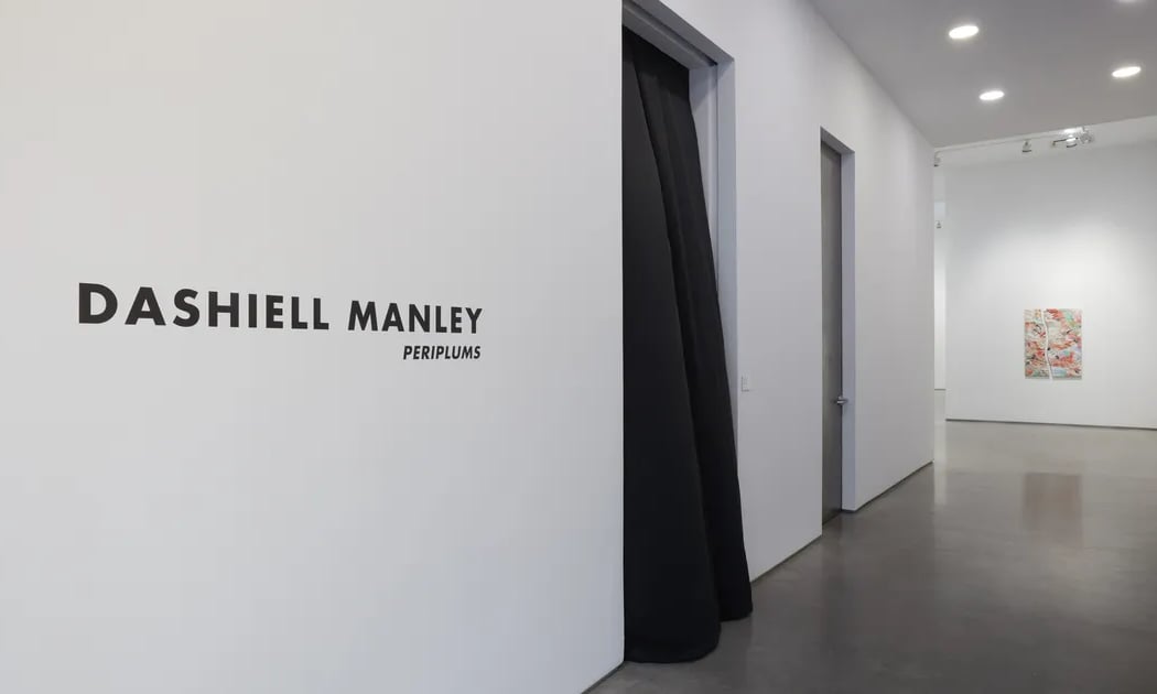 Marianne Boesky Gallery 5