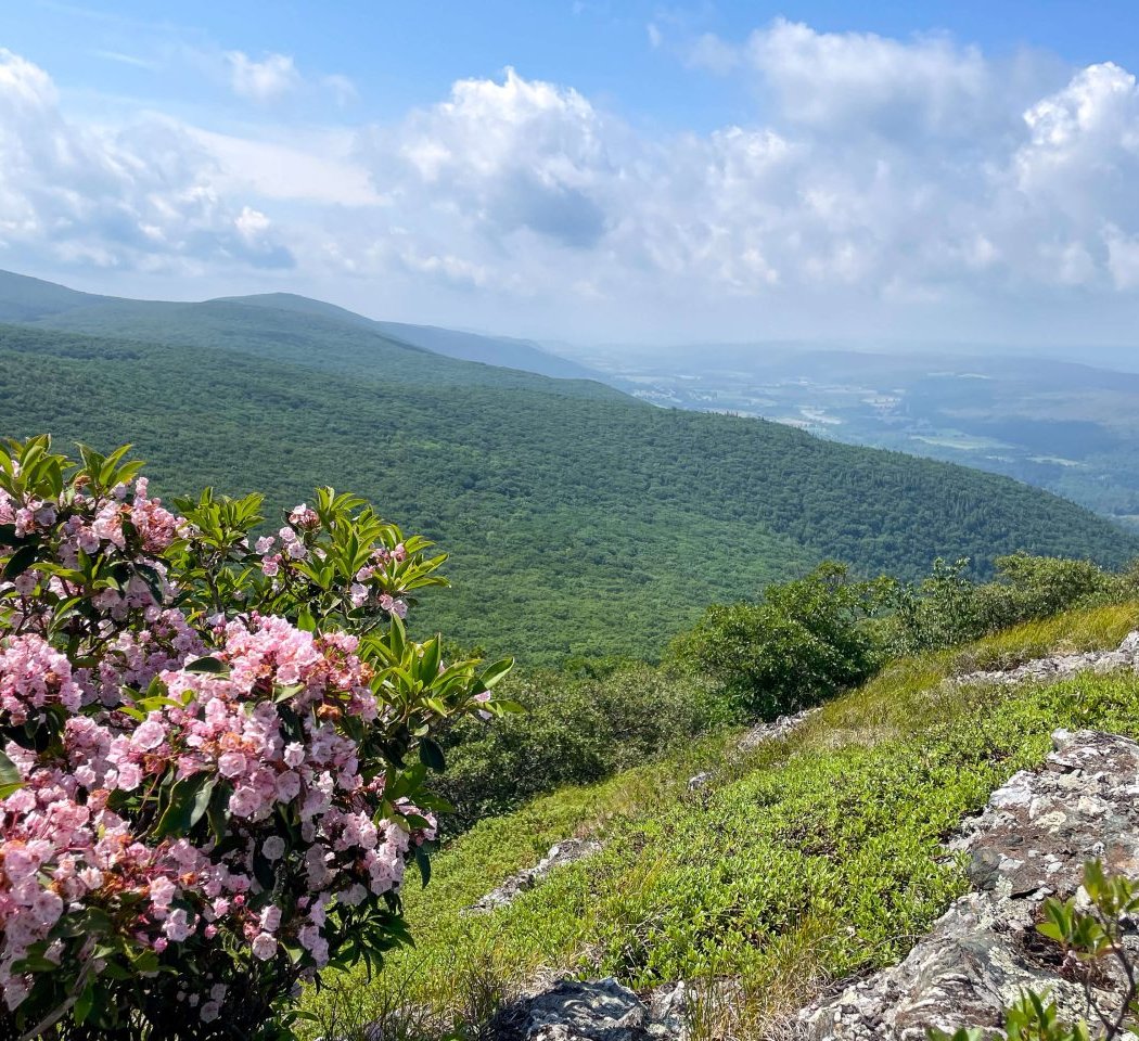 Alander Mountain 1