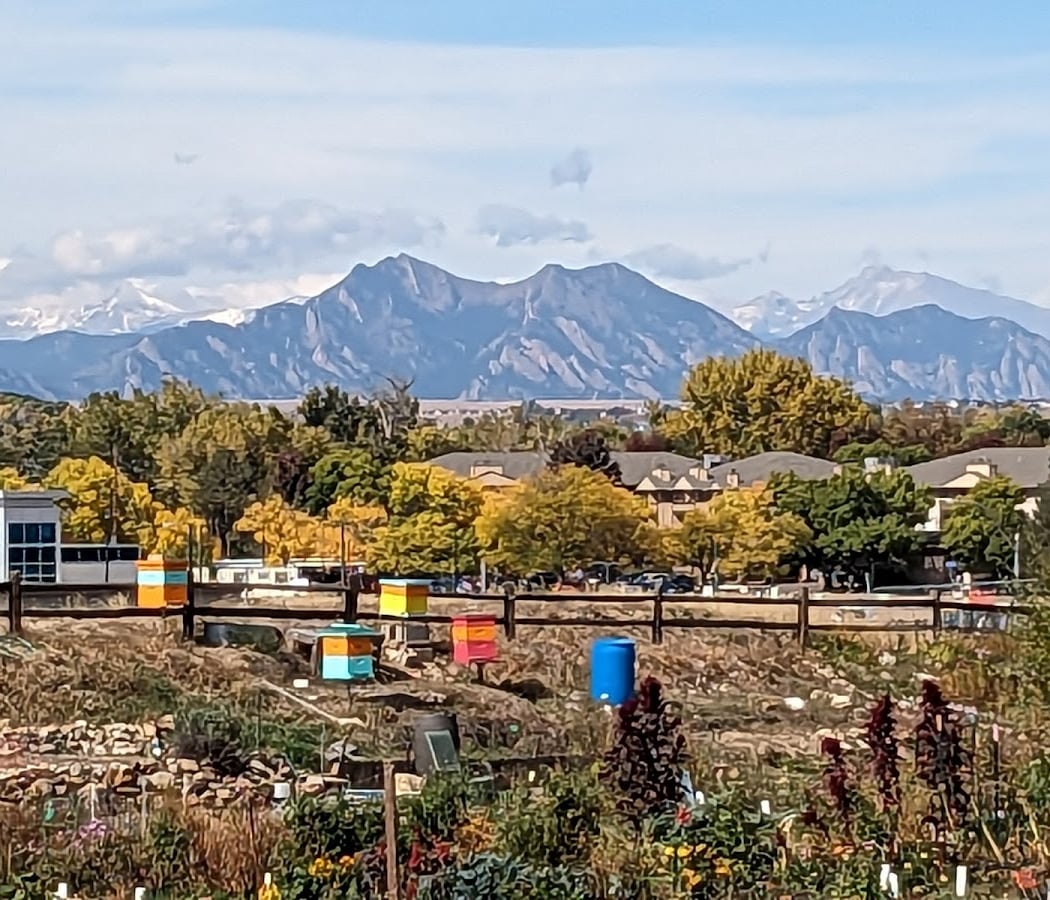 Arvada Community Garden 4