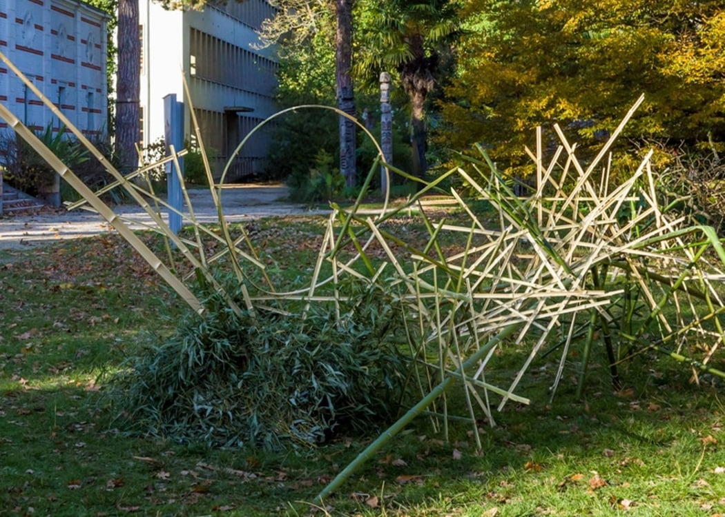 L'art floral japonais s'invite au jardin des serres d'Auteuil