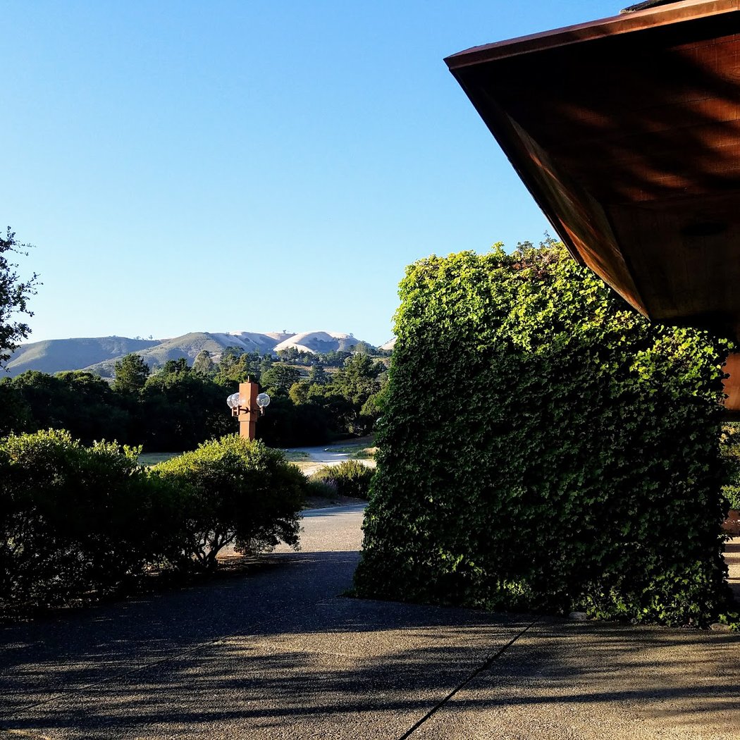 Carmel Valley Flower Club Show 2