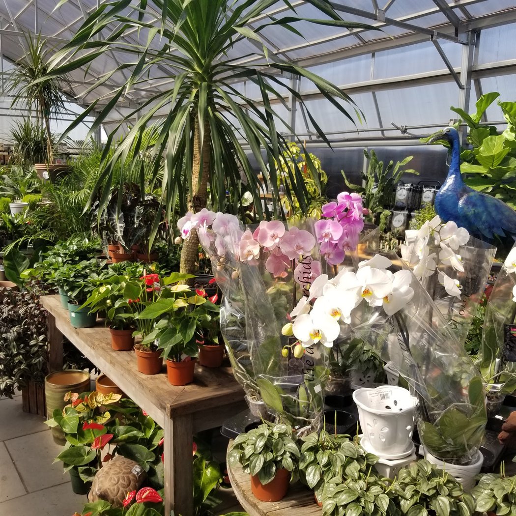 The Garden Gallery 1