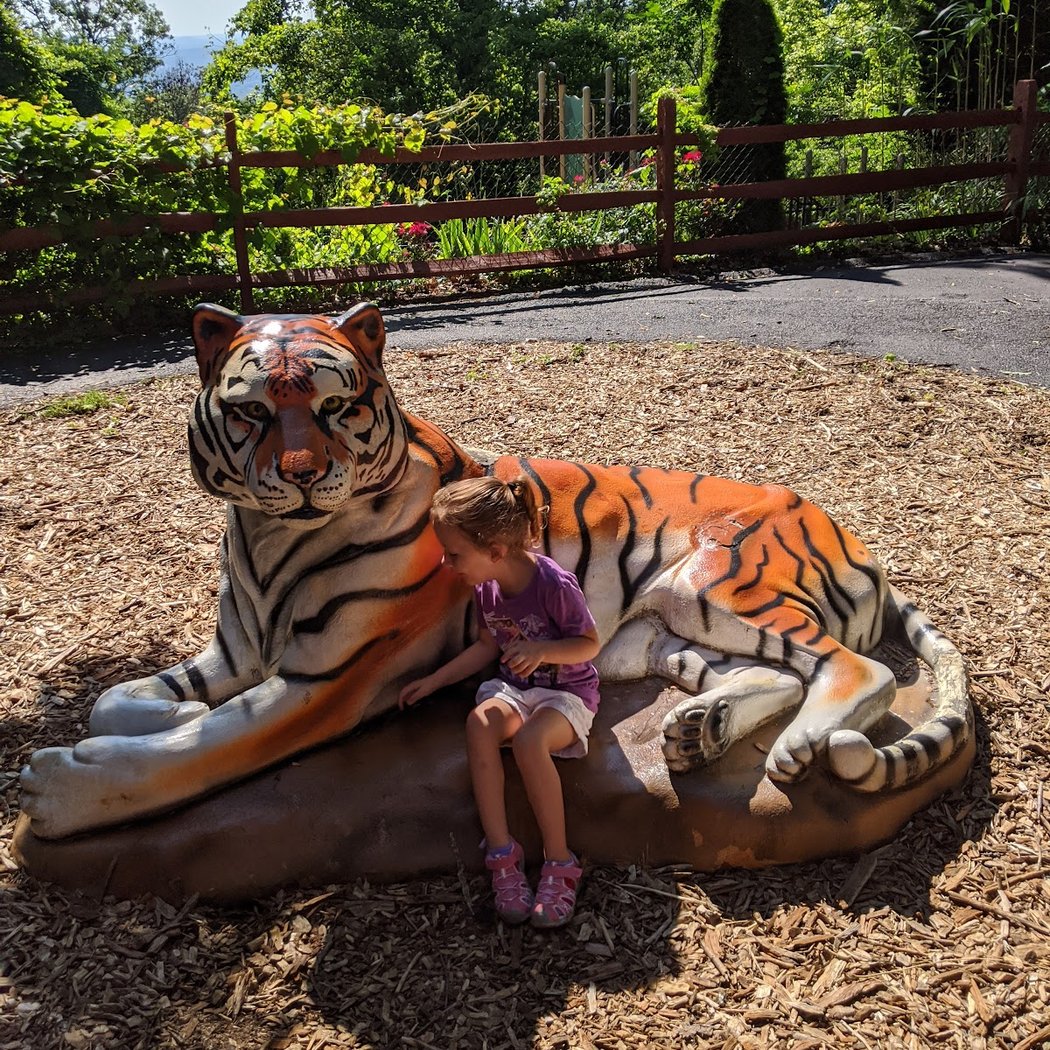Mill Mountain Zoo 2