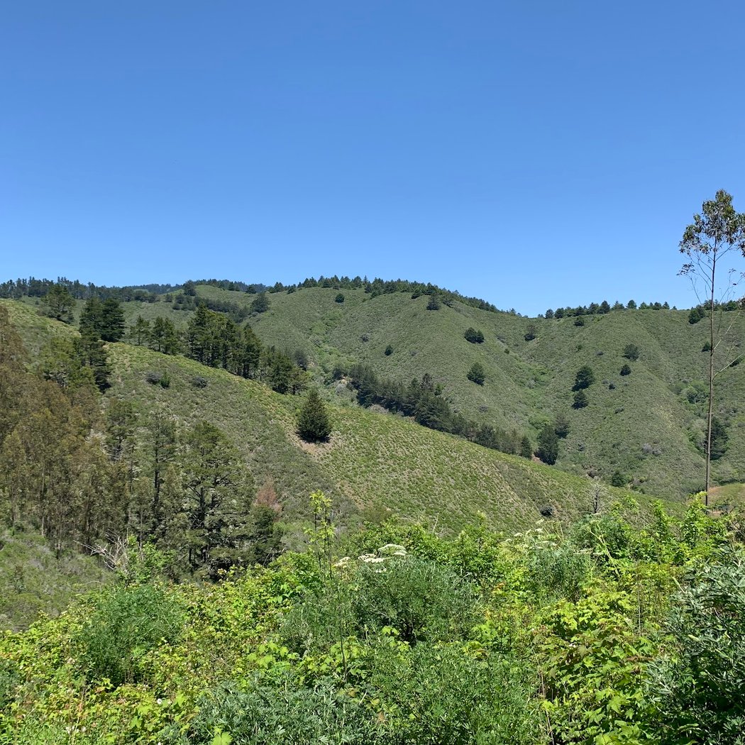Quarry Park 1