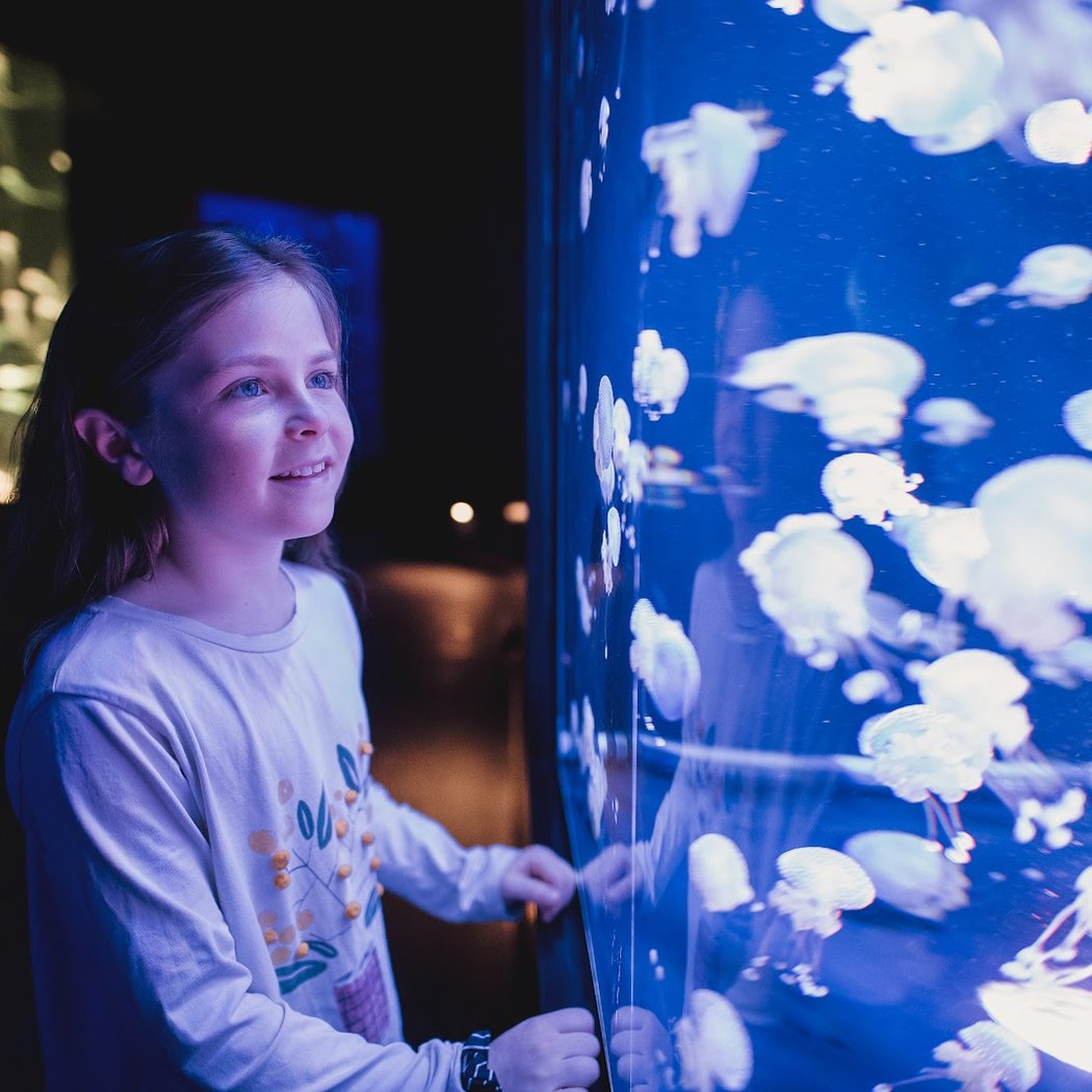 Aquarium of Quebec 2