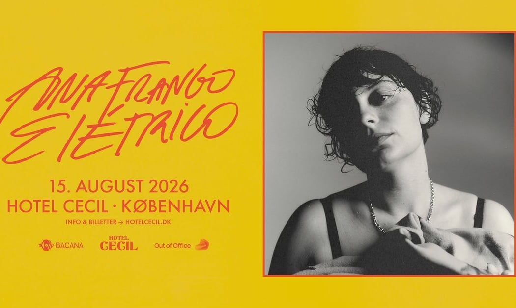 Ana Frango Elétrico (BR) 1