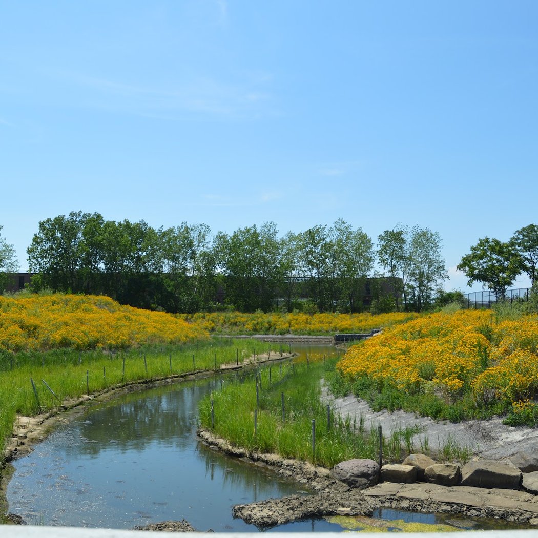 Idlewild Environmental Science Learning Center - Eastern Queens Alliance, Inc. 1