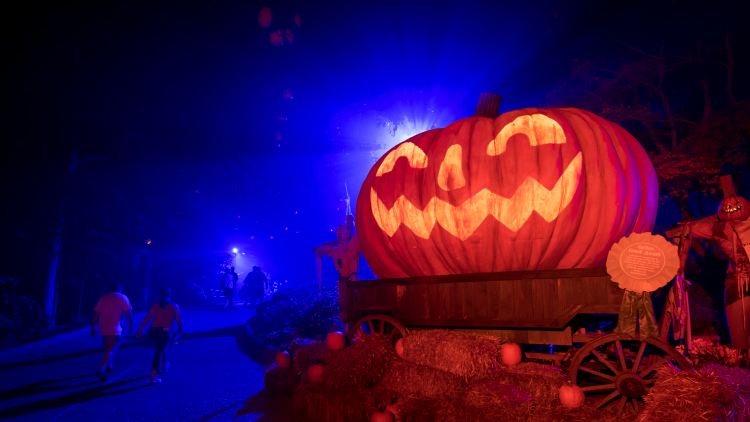 Howl-O-Scream 3