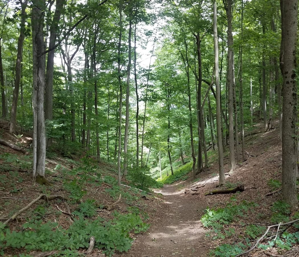 Baltimore Woods Nature Center 2